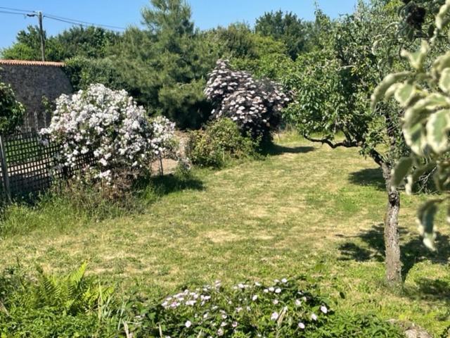 Вілла Le Logis Cholet 49300 Lieu Exceptionnel En Famille Ou Amis Mazieres-en-Mauges Екстер'єр фото